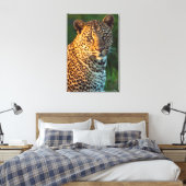 Mannelijke luipaard (Panthera Pardus) volgroeide k Canvas Afdruk (Insitu (Slaapkamer))