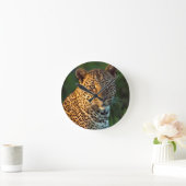 Mannelijke luipaard (Panthera Pardus) volgroeide k Ronde Klok (Huis)