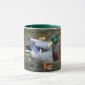 Mannelijke Mallard Duck in Clear Creek Mok (Midden)