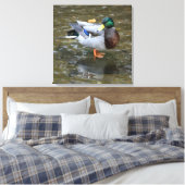 Mannelijke Mallard Duck in Creek Wrapped Canvas Pr Afdruk (Insitu (Slaapkamer))
