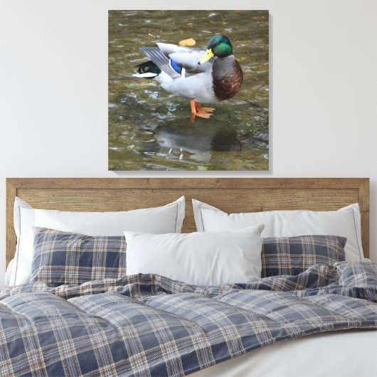 Mannelijke Mallard Duck in Creek Wrapped Canvas Pr Afdruk (Insitu (Slaapkamer))