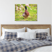 Mannelijke Mallard Duck Kleurrijke Canvas Print (Insitu (Slaapkamer))