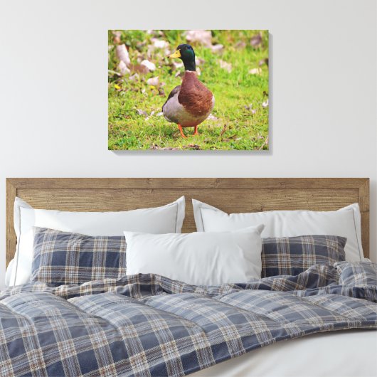 Mannelijke Mallard Duck Kleurrijke Canvas Print (Insitu (Slaapkamer))