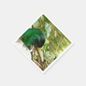 Mannelijke Mallard Duck Napkin Servet (Hoek)