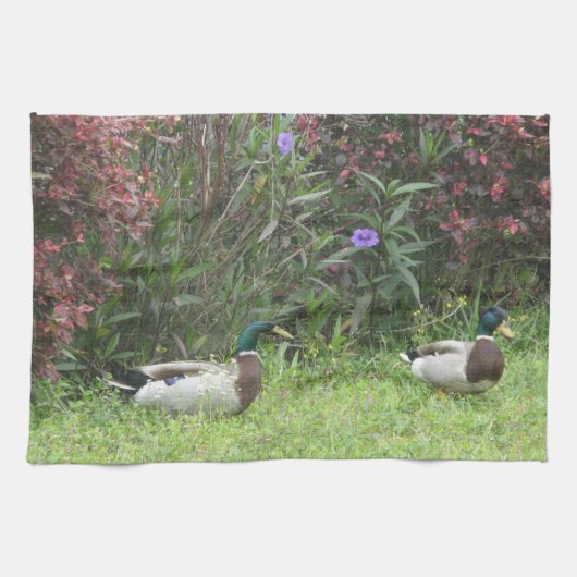 Mannelijke Mallard Ducks Keukenhanddoeken (Horizontaal)