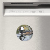 Mannelijke Merganser Duck Magneet (Insitu (Vaatwasser))