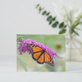 Mannelijke monarch op Struik van vlinder Briefkaart (Staand voorkant)