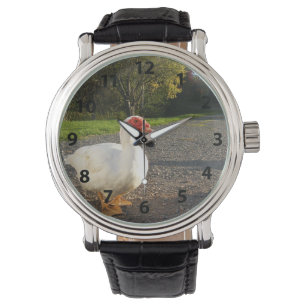 Mannelijke Muscovy Duck Watch Horloge