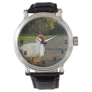 Mannelijke Muscovy Duck Watch Horloge