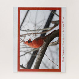 Mannelijke noordelijke kardinaal; vogellover legpuzzel