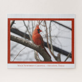 Mannelijke noordelijke kardinaal; vogellover legpuzzel