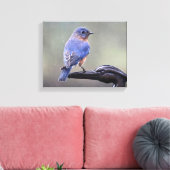 Mannelijke oostelijke blauwvogel in de regen canvas afdruk (Insitu (Woonkamer))