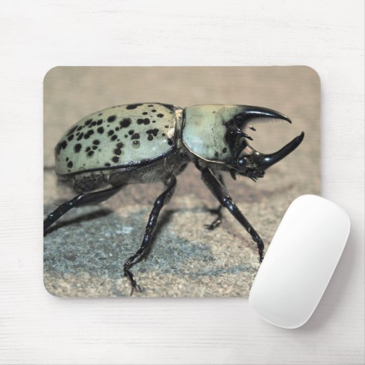 Mannelijke oostelijke Hercules Beetle Mousepad Muismat (Met muis)