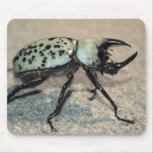 Mannelijke oostelijke Hercules Beetle Mousepad Muismat (Voorkant)