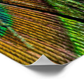 Mannelijke paardenstaartwaren poster (Hoek)