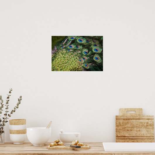 Mannelijke pauw (Pavo cristatus) met staart Poster (Keuken)
