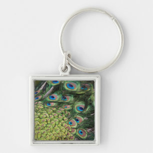 Mannelijke pauw (Pavo cristatus) met staart Sleutelhanger