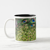 Mannelijke pauw (Pavo cristatus) met staart Tweekleurige Koffiemok (Links)