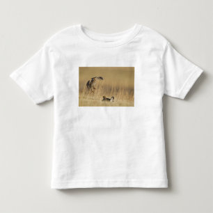 Mannelijke prairiehoenders bij lek in Loup County Kinder Shirts