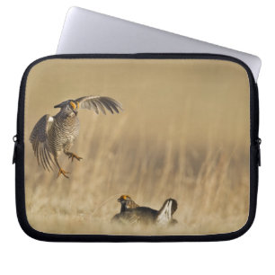 Mannelijke prairiekkippen bij lek in Loup County Laptop Sleeve