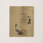 Mannelijke prairiekkippen bij lek in Loup County Legpuzzel (Verticaal)