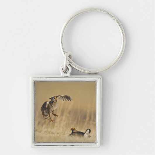 Mannelijke prairiekkippen bij lek in Loup County Sleutelhanger (Voorkant)