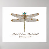 Mannelijke Prins Baskettail Dragonfly Art Poster (Voorkant)
