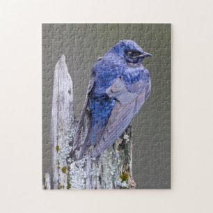 Mannelijke Purperen Martin nest boven Lake Sammami Legpuzzel
