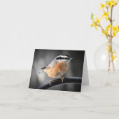 Mannelijke Red-breasted Nuthatch blanco binnen Kaart (Gele Bloem)