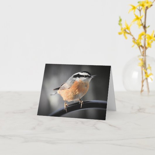 Mannelijke Red-breasted Nuthatch blanco binnen Kaart (Gele Bloem)