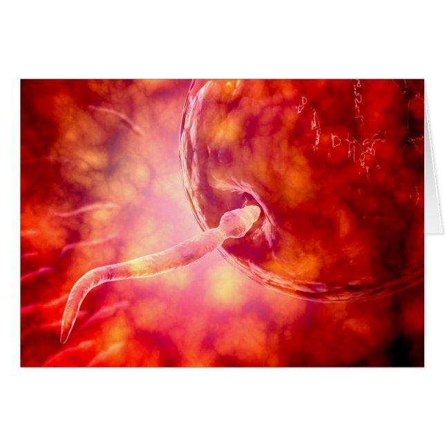 Mannelijke reproductiesperm die de eieren ingaat (Voorkant Horizontaal)