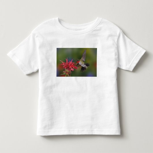 Mannelijke robijnkeelkolibrie kinder shirts (Voorkant)