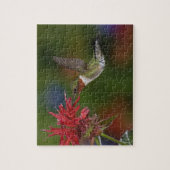 Mannelijke robijnkeelkolibrie legpuzzel (Verticaal)