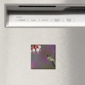 Mannelijke robijnkeelkolibrie magneet (Insitu (Vaatwasser))