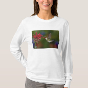 Mannelijke robijnkeelkolibrie t-shirt