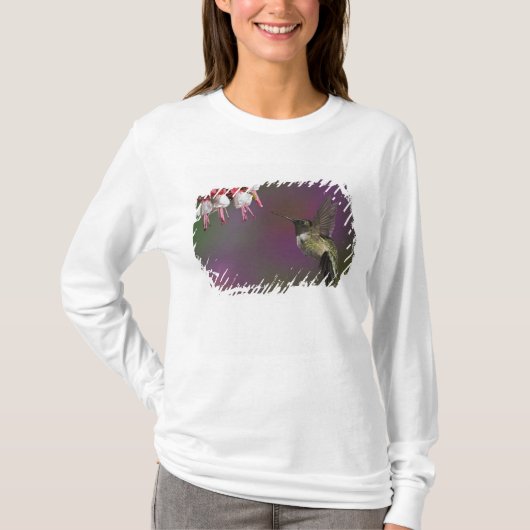 Mannelijke Robijnkeelkolibrie T-shirt (Voorkant)