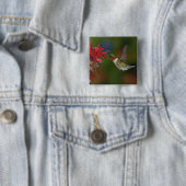Mannelijke robijnkeelkolibrie vierkante button 5,1 cm (In situ)