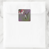 Mannelijke Robijnkolibrie, Archilochus Vierkante Sticker (Tas)