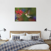 Mannelijke robijnrode kolibrie canvas afdruk (Insitu (Slaapkamer))