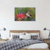 Mannelijke robijnrode kolibrie canvas afdruk (Insitu (Slaapkamer))