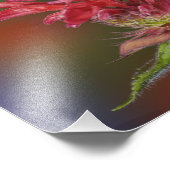 Mannelijke robijnrode kolibrie foto afdruk (Hoek)