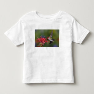 Mannelijke robijnrode kolibrie kinder shirts