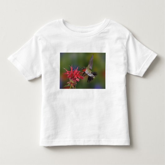 Mannelijke robijnrode kolibrie kinder shirts (Voorkant)