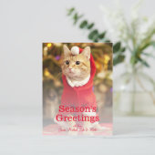 Mannelijke rode kat met kerstkostuum feestdagenkaart (Staand voorkant)