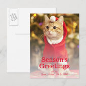 Mannelijke rode kat met kerstkostuum feestdagenkaart (Voorkant / Achterkant)