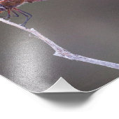 Mannelijke rode zandzakken Dragonfly Foto Afdruk (Hoek)