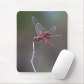 Mannelijke rode zandzakken Dragonfly Muismat (Met muis)