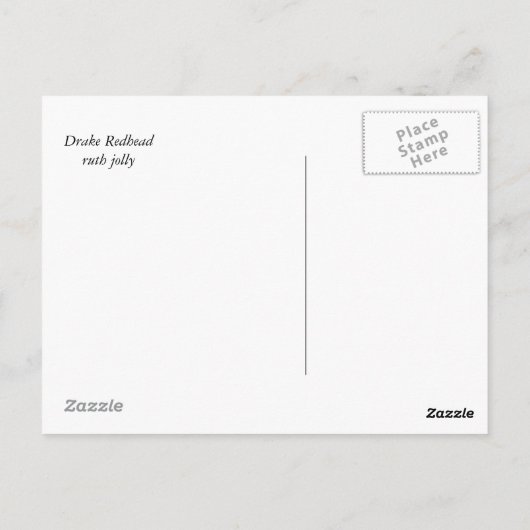 Mannelijke roodkopeend briefkaart (Achterkant)