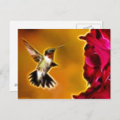 Mannelijke roofvogel briefkaart (Voorkant / Achterkant)