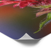 Mannelijke roofvogels die voeden op poster (Hoek)